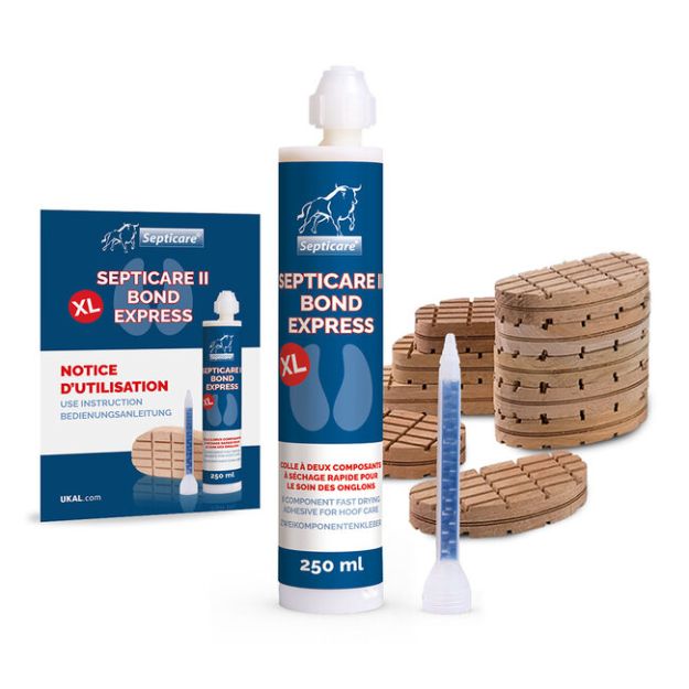 Image sur Kit SEPTICARE XL : colle 250 ml + 10 semelles